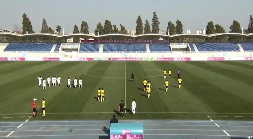 机机对机机30分钟无遮挡免费大全